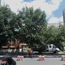 Жители Оренбурга переживают, что Матросский закатают в асфальт, оставив без деревьев