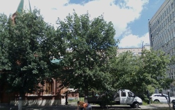 Жители Оренбурга переживают, что Матросский закатают в асфальт, оставив без деревьев