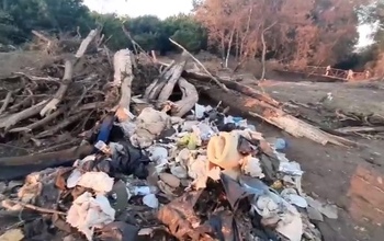 В Рязани на месте крушения Ил-76 из Оренбурга вместо памятника организовали свалку