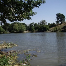 Житель Сочи приехал в Оренбургскую область