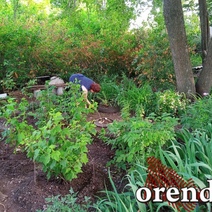 Жителей частного сектора Орска просят заплатить 4 000 рублей за несуществующий полив огородов