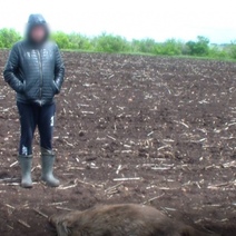 Оренбуржец из окна машины застрелил самку кабана и двух ее детенышей (18+)