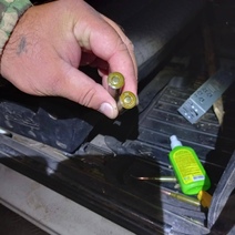 В Бузулукском бору браконьеры застрелили кабана