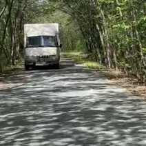 В Оренбурге оштрафован автохам на «Газели», рассекавший по парку «Березка»