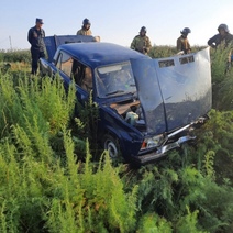 В Оренбурге водитель ВАЗа «влетел» в стадо баранов, пострадали четыре человека