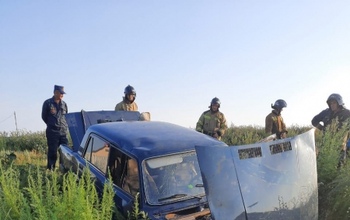 В Оренбурге водитель ВАЗа «влетел» в стадо баранов, пострадали четыре человека