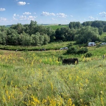 Выпал в окно и насмерть придавило машиной: под Тюльганом опрокинулась 