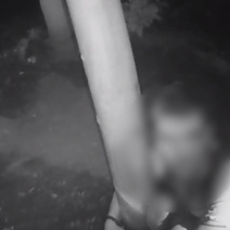 В Оренбурге на улице Алтайской грабитель напал на сотрудницу больницы