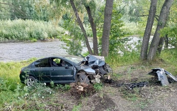 В Оренбургской области за сутки два водителя въехали в деревья, один из них погиб (18+)