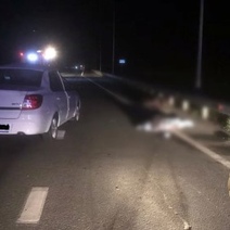 По дороге в Оренбург из-за неожиданного появления лося на дороге погиб пассажир Datsun