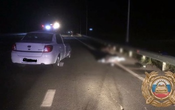 По дороге в Оренбург из-за неожиданного появления лося на дороге погиб пассажир Datsun