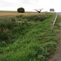 В Абдулинском районе мотоциклист снёс ограждение и слетел в кювет