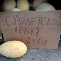 Когда оренбуржцам ждать соль-илецких арбузов