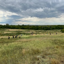 Появились новые подробности исчезновения шестилетнего ребенка в Новосергиевском районе