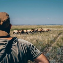 Оренбуржье слабовато превращается в туристическую «мекку»