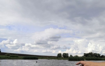 В Первомайском районе в пруду утонул мужчина (18+)