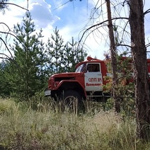 В Оренбургской области из-за грозовых разрядов произошли четыре пожара