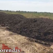 Посёлок Нижнесакмарский накрыло зловонными запахами из-за куч отходов в поле