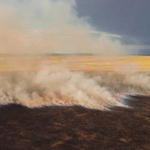Из-за удара молнии в Оренбуржье сгорело 23 гектара заповедной степи
