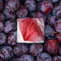 В Оренбургской области обнаружены 11,5 тонн сливы, зараженные калифорнийской щитовкой