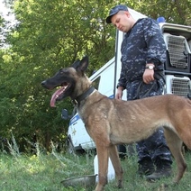 В Оренбуржье к поискам ребенка присоединились 102 полицейских и 16 служебных собак