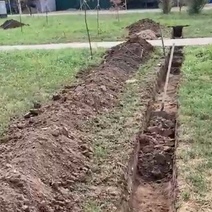 В Оренбурге в парке в Южном погибают деревья