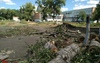 В Оренбурге на территории школы массово вырубили деревья