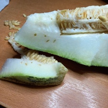 В Оренбуржье попали червивые дыни из Узбекистана