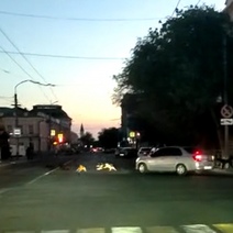 Вечерние прогулки по Оренбургу чреваты встречей со сворами собак