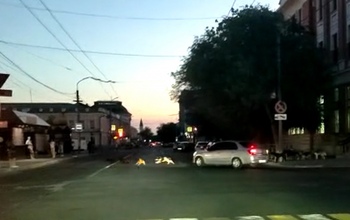 Вечерние прогулки по Оренбургу чреваты встречей со сворами собак