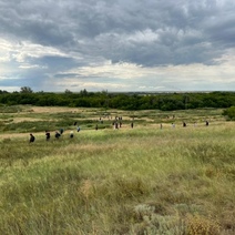 История потерявшегося в Оренбуржье Ярослава повторилась в Казахстане