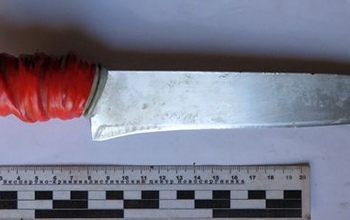 В Оренбуржье суд разберется с двумя парнями, жестоко расправившимися со своей жертвой (18+)