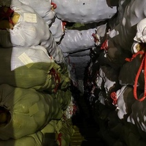 Через Оренбуржье за границу всячески пытаются вывезти продукты