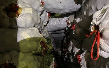 Через Оренбуржье за границу всячески пытаются вывезти продукты