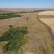 В Оренбуржье трехнедельные поиски 6-летнего Ярослава так и не дали результата