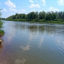 После трагедии с детьми илекских чиновников обязали обустроить пляжи