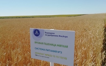 День поля в Оренбуржье открыл аграриям новые возможности для роста урожайности и прибыли