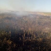 В Оренбургском районе борются с природным пожаром