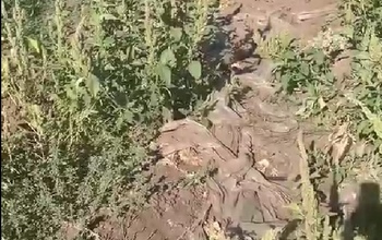 В Акбулакском районе горе-фермеры загрязняют поля