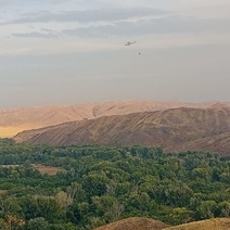 Крупный природный пожар на востоке Оренбуржья тушили пять дней