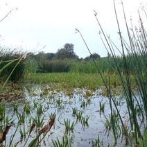 Похититель на территории Гайского ГОКа угодил в болото