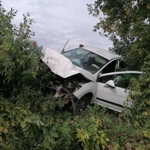 В Бузулуке Peugeot после столкновения с Toyota отбросило в дерево, пострадали четыре человека