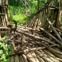 В Бузулукском бору инспекторы наткнулись на ловушку браконьеров