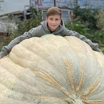 Тыква орского школьника вошла в ТОП-3 самых гигантских в России