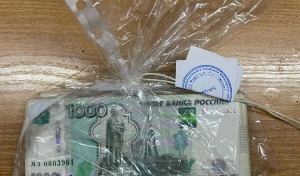 В дом пожилой оренбурженки залезли через форточку и украли 300 000 рублей