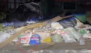 В Оренбурге на мусорной площадке в очередной раз заметили крыс