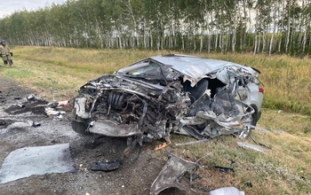Уснул за рулем: под Бузулуком в ДТП погибли два человека (18+)