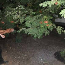 В Октябрьском районе завершено расследование жестокого убийства в доме инвалидов (18+)