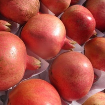 В Оренбуржье из Узбекистана пришли гранаты с живым 