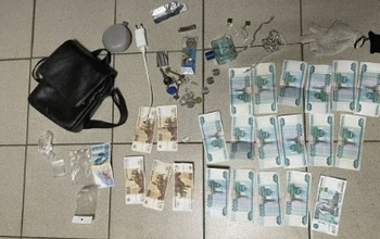 В Оренбурге задержали серийных воров-домушников